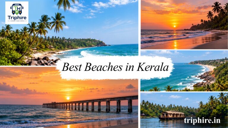 Best Beaches in Kerala